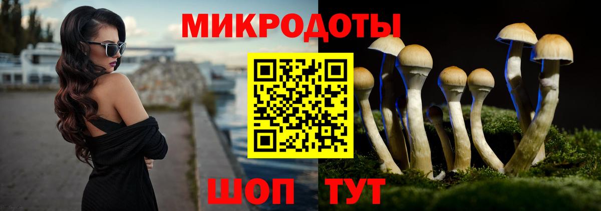 Псилоцибиновые грибы Psilocybine cubensis Междуреченск